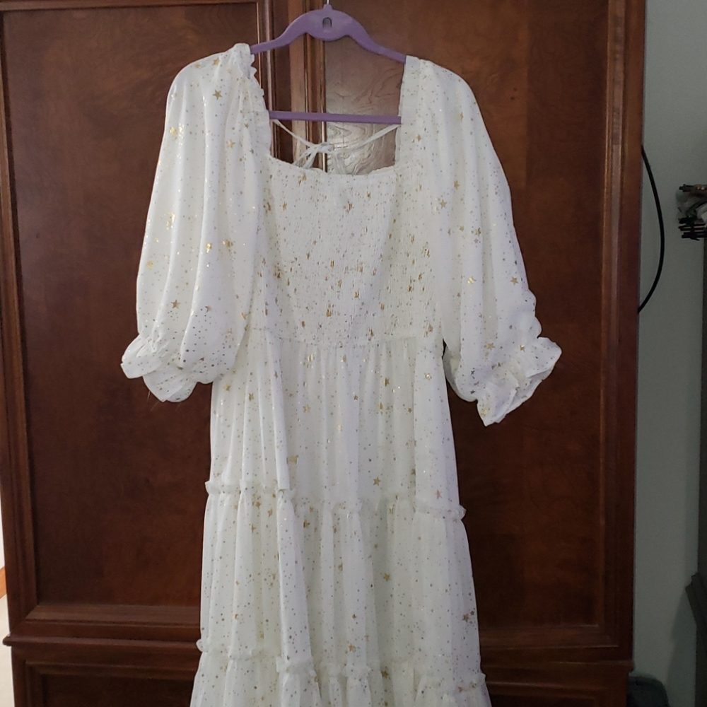 Ivy City Midsummer Noghts Dress XXL Never Worn